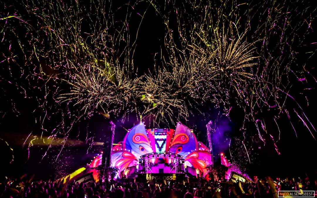 Wildness Festival 2015